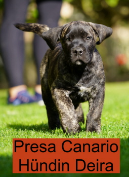 Reserviert Fa.Reimann